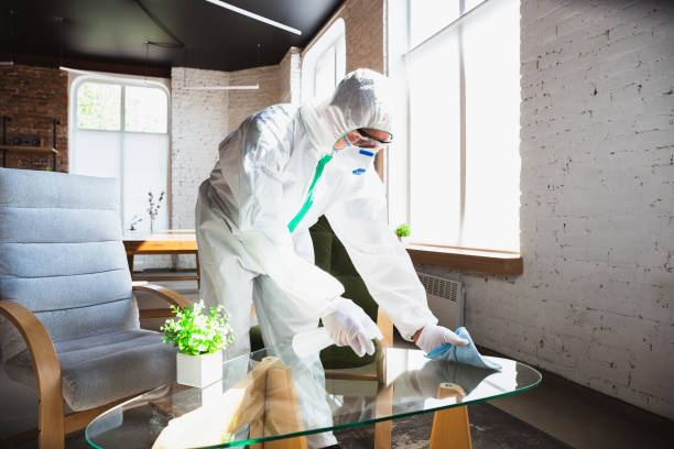 Why You Should Choose Our Mold Remediation Services in Burlington, WA