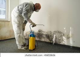 Best Residential Mold Inspection & Testing in Burlington, WA